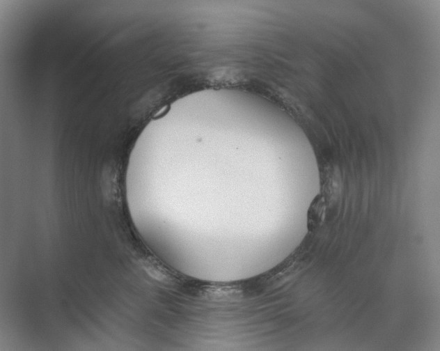 X0000073950619200609111652