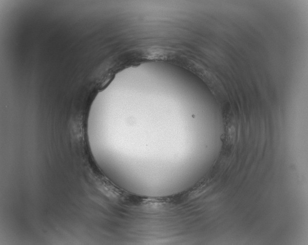 X0000073950620200609111652