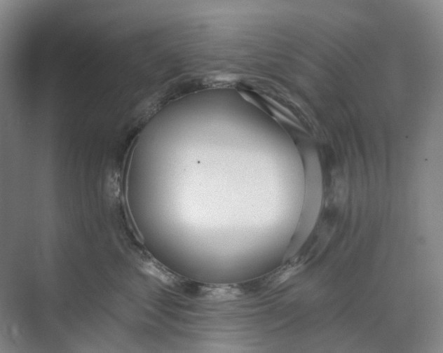 X0000073950621200609111652