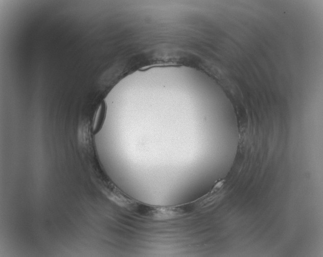 X0000073950623200609111652