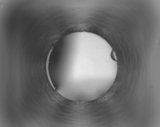 X0000073950624200609111652