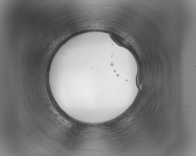 X0000073950625200609111651