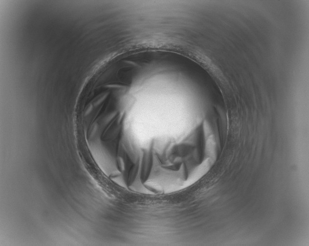 X0000073950626200609111651