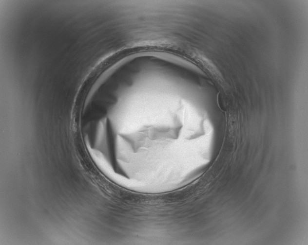 X0000073950628200609111651