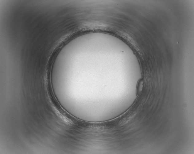 X0000073950629200609111651