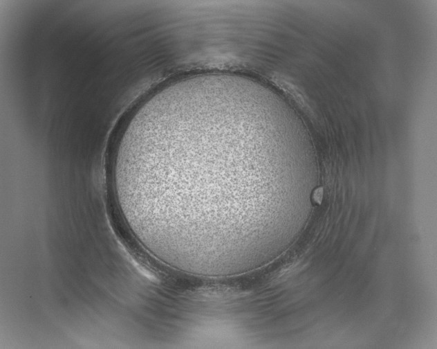 X0000073950630200609111651