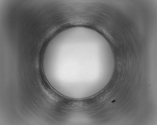 X0000073950631200609111651