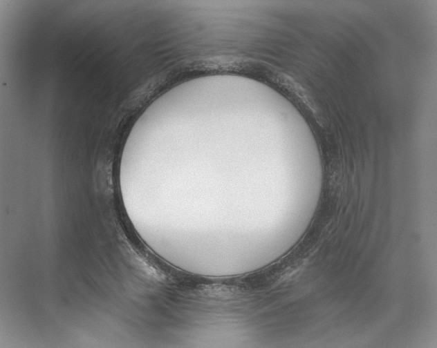 X0000073950633200609111651