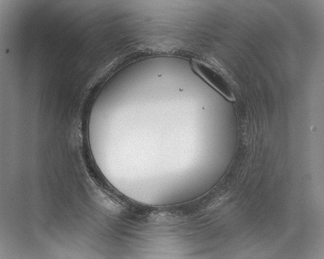 X0000073950634200609111651