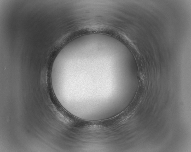 X0000073950637200609111651