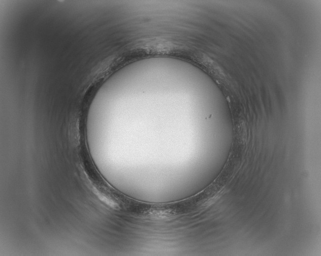 X0000073950638200609111651