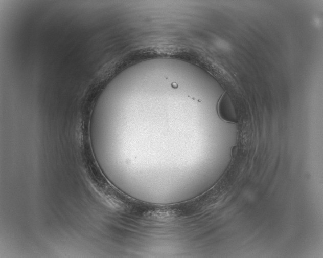 X0000073950639200609111651