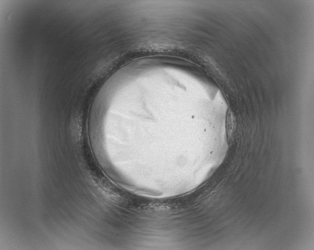 X0000073950640200609111651