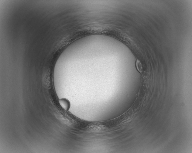 X0000073950642200609111651