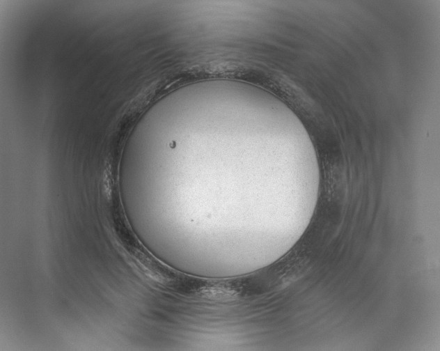 X0000073950644200609111651