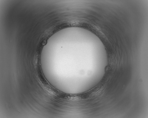 X0000073950645200609111651