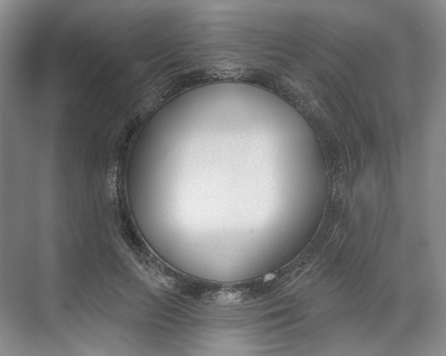 X0000073950647200609111651