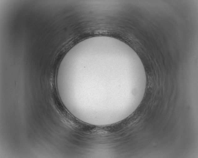 X0000073950648200609111651