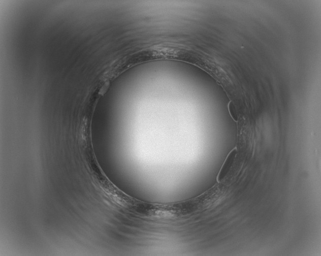 X0000073950649200609111651