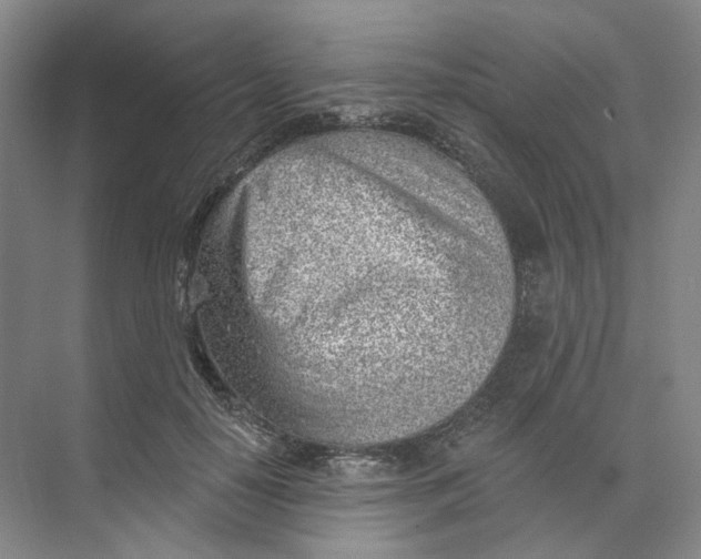 X0000073950650200609111651