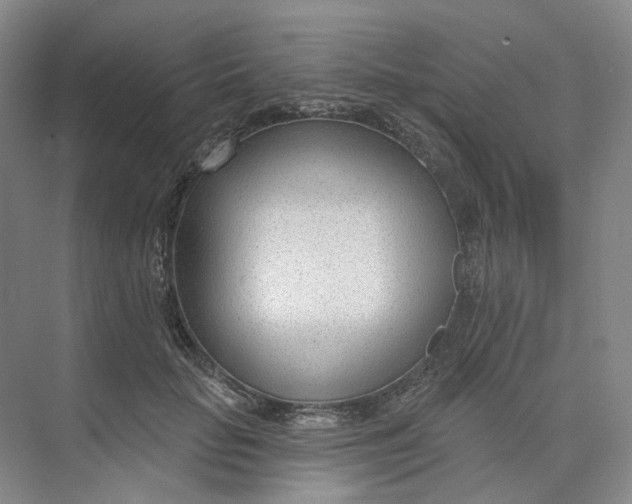 X0000073950653200609111651