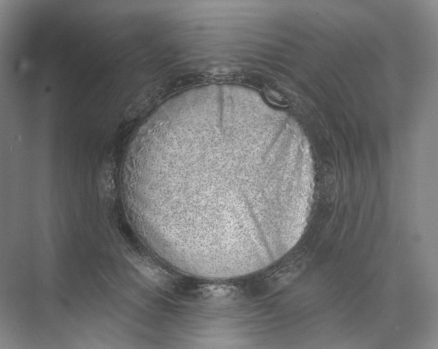 X0000073950654200609111651