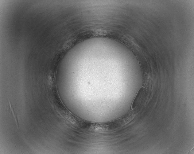 X0000073950655200609111651