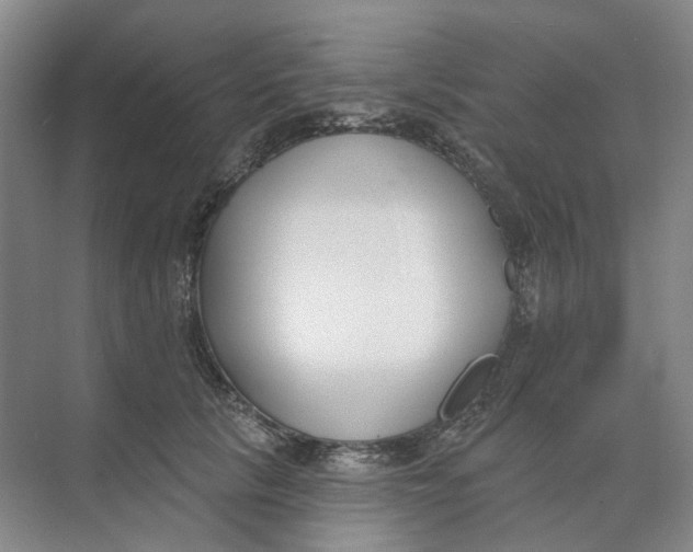 X0000073950657200609111651