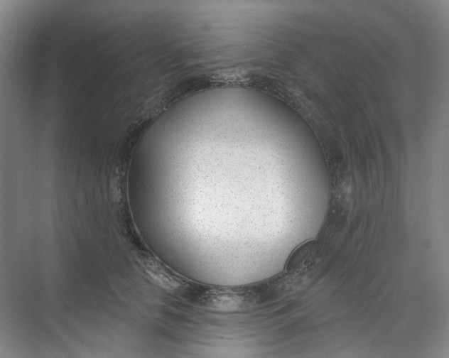 X0000073950658200609111651