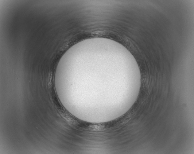 X0000073950660200609111651