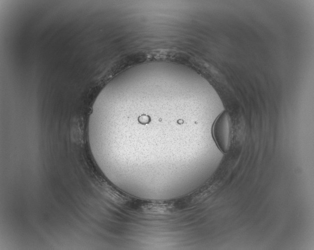 X0000073950661200609111651