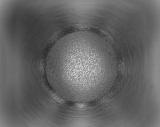 X0000073950662200609111651