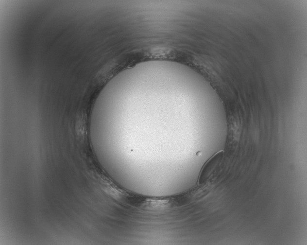 X0000073950665200609111651