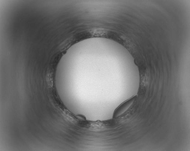 X0000073950666200609111651