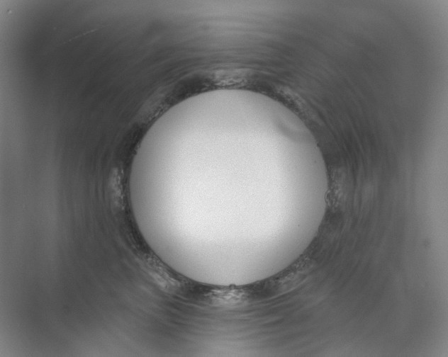 X0000073950667200609111651