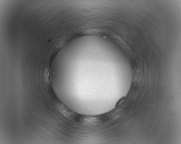 X0000073950669200609111651