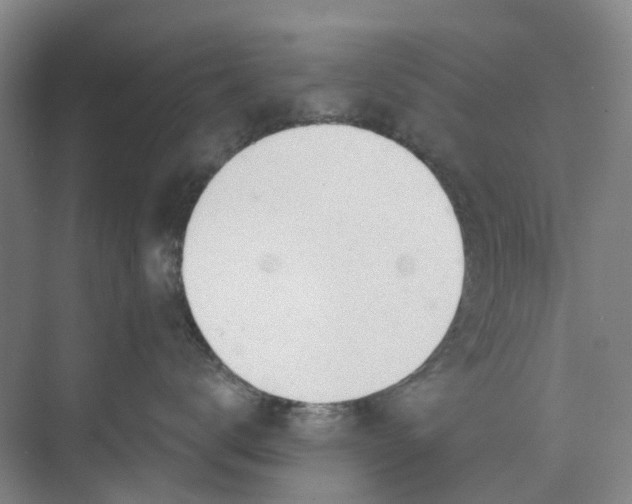 X0000073950672200609111652