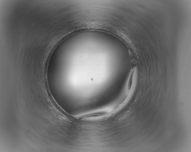 X0000073950673200609111651