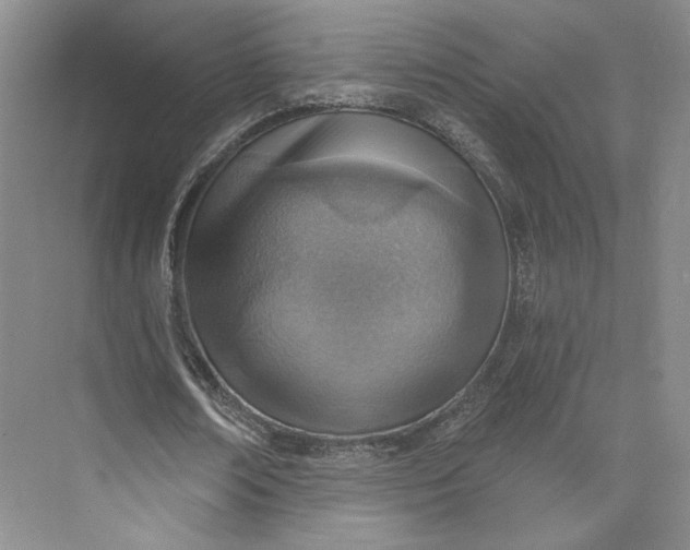 X0000073950674200609111651