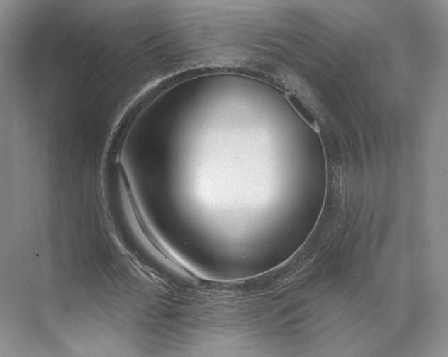 X0000073950676200609111651