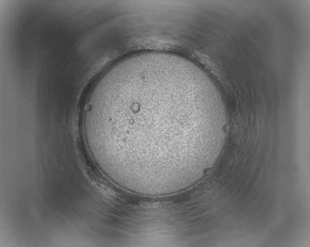 X0000073950679200609111651