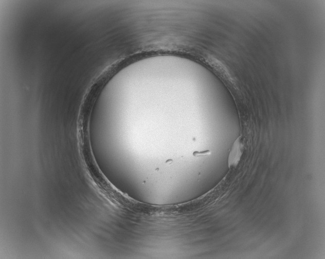 X0000073950680200609111651