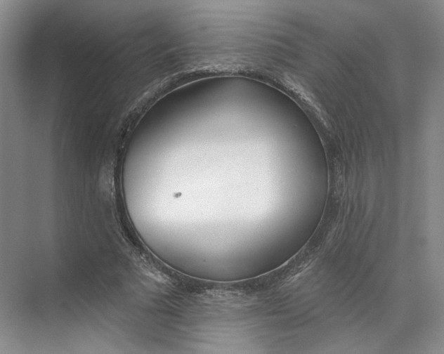 X0000073950681200609111651