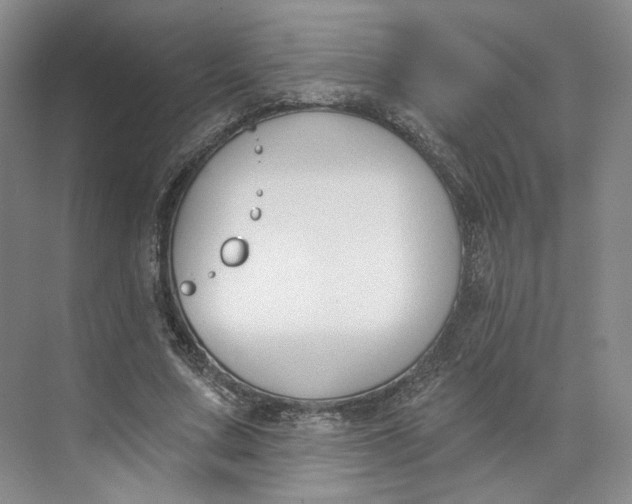 X0000073950683200609111651