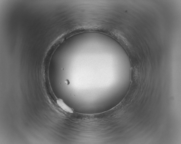 X0000073950684200609111651