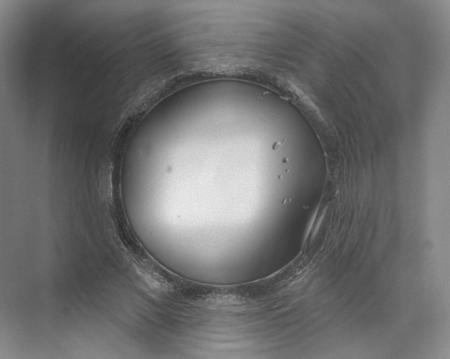 X0000073950685200609111651