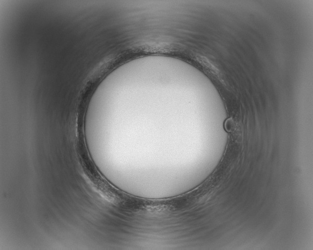 X0000073950686200609111651