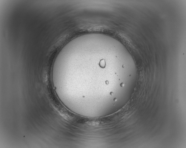 X0000073950687200609111651