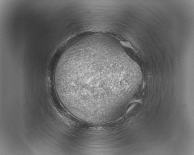 X0000073950688200609111650