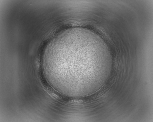 X0000073950691200609111650